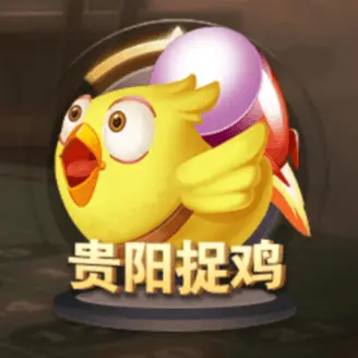 貴陽捉雞 貴陽捉雞